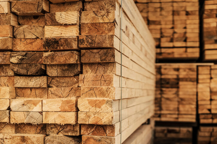 Everything You Need to Know About Our Timber
