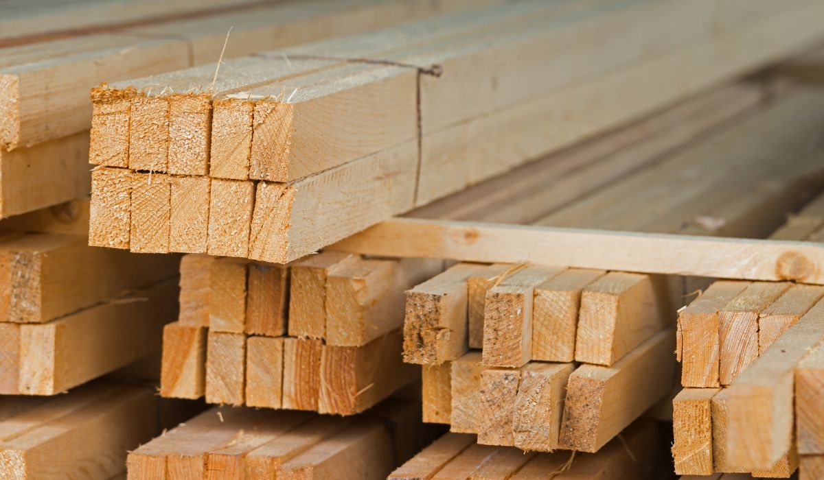 Everything You Need to Know About Timber and Its Uses in Home Building & Construction